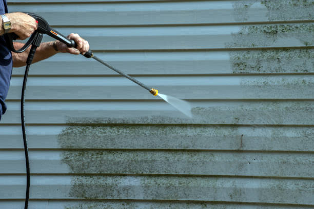 Local Pressure Washing Services in Reidsville, GA
